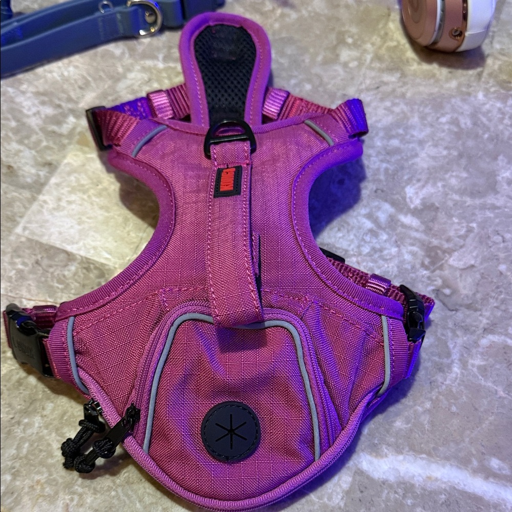 Kong Fuchsia Dog Harness